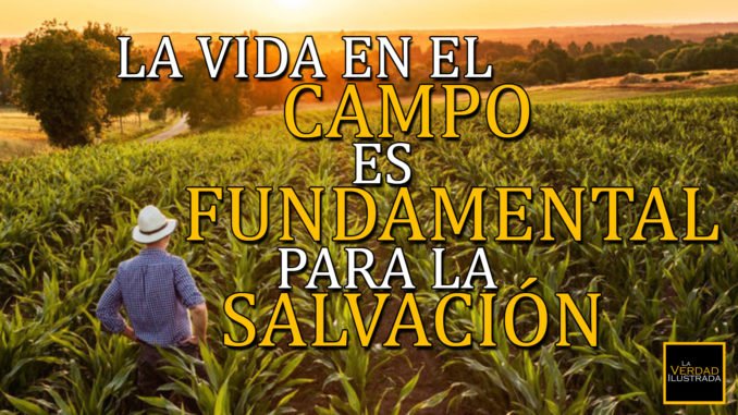 Imagen encabezamiento
