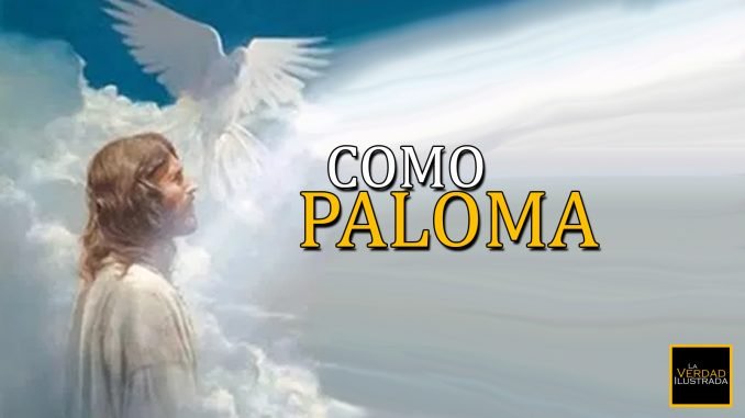 Imagen Encabezamiento