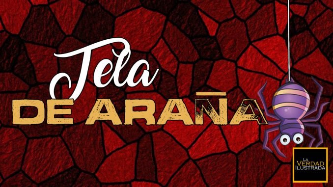 Tela de araña - Encabezamiento Blog