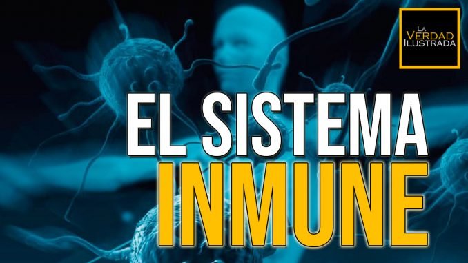 El sistema inmunulógico - Blog