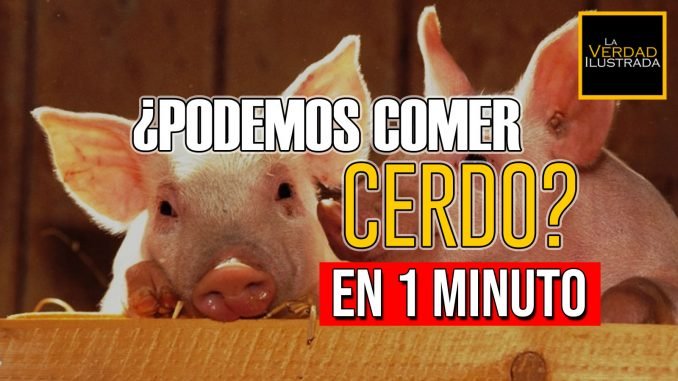 En 1 minuto Web