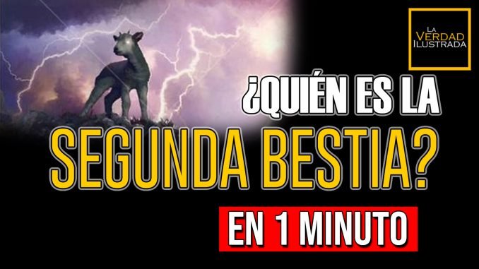 En 1 minuto Web