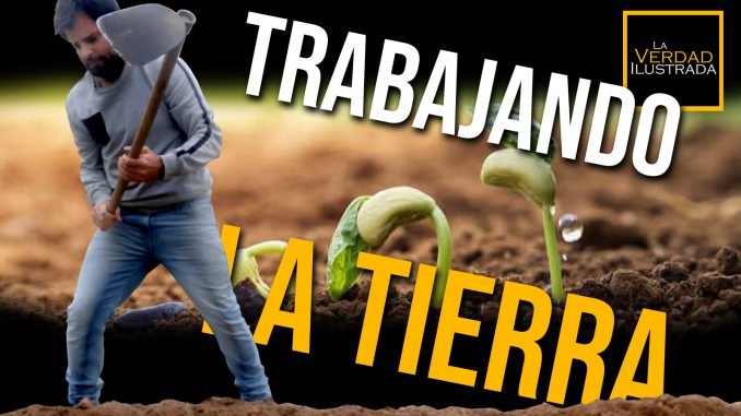 Trabajando la tierra - blog