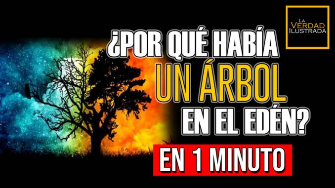 En 1 minuto Web